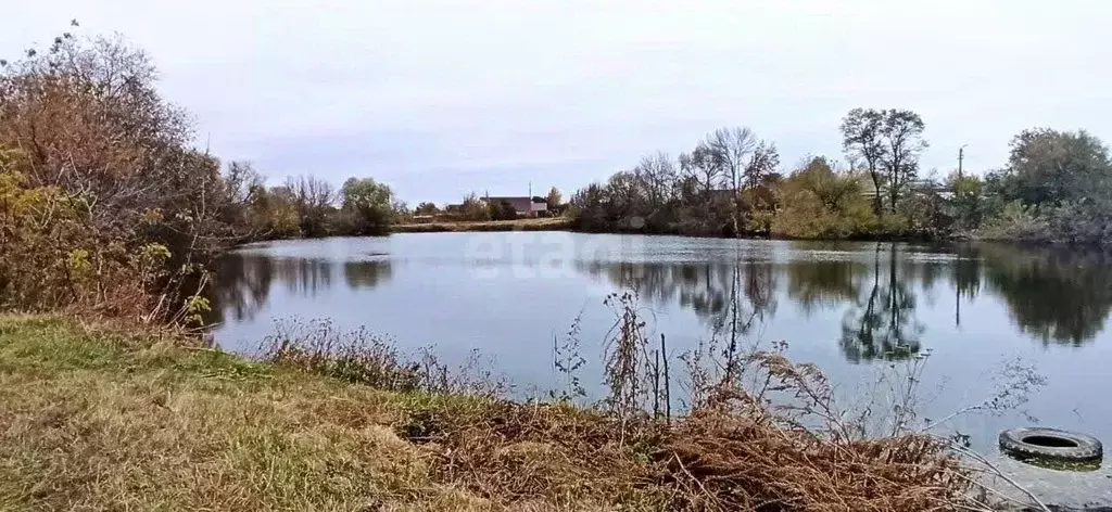 Дом в Белгородская область, Губкинский городской округ, с. Бобровы ... - Фото 1