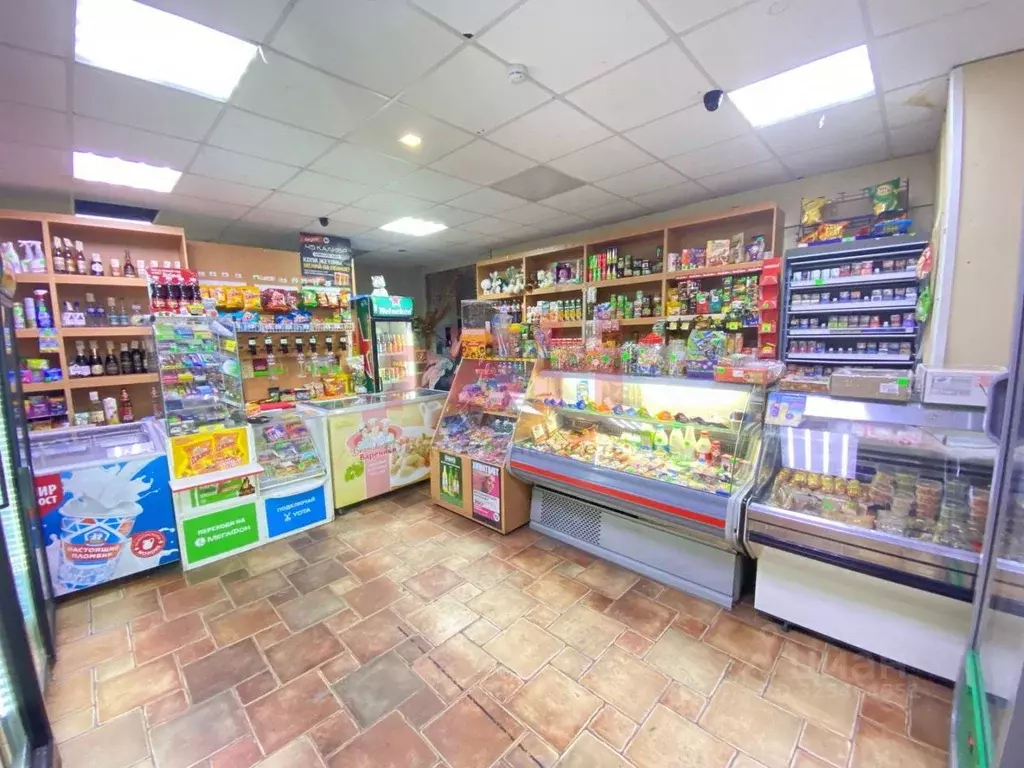 Торговая площадь в Курганская область, Курган Краснодонская ул., 14 ... - Фото 2