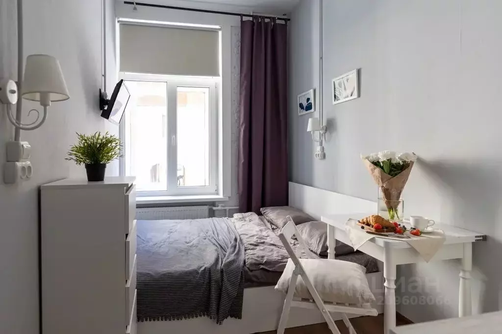 1-к кв. Санкт-Петербург ул. Белинского, 11 (17.0 м) - Фото 0