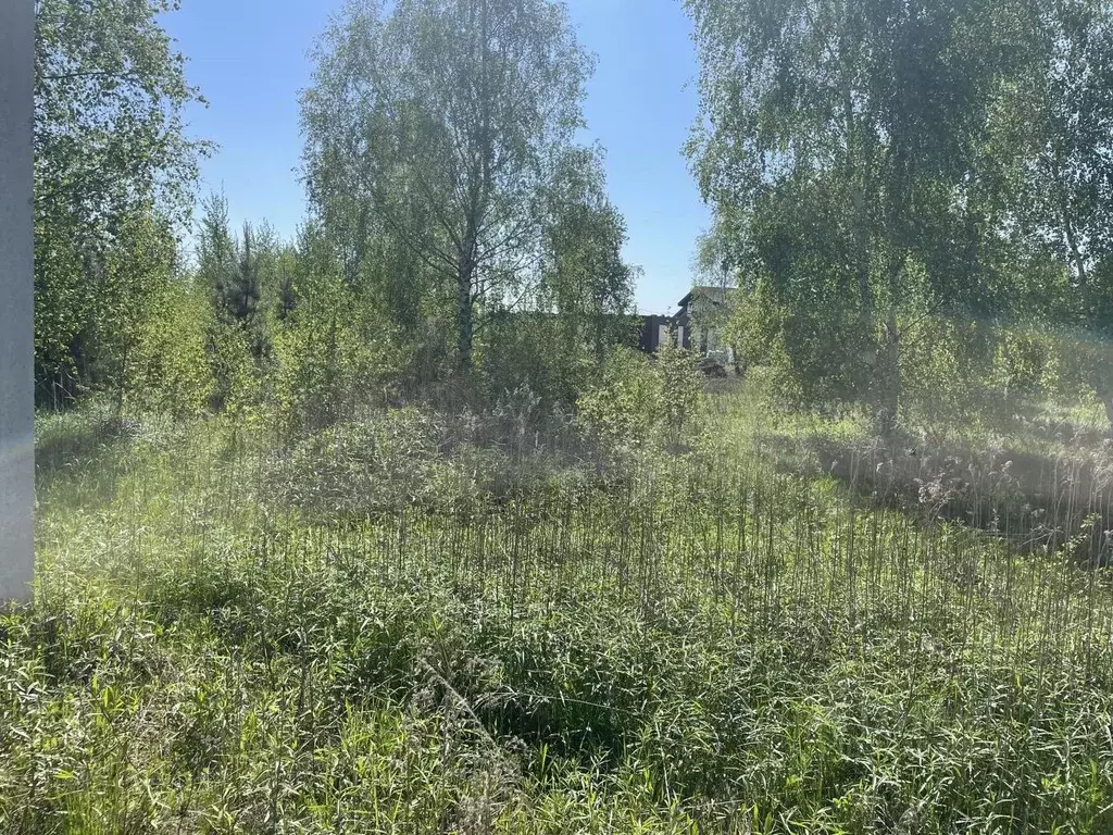 Участок в Московская область, Раменское ул. Фестивальная (9.39 сот.) - Фото 2