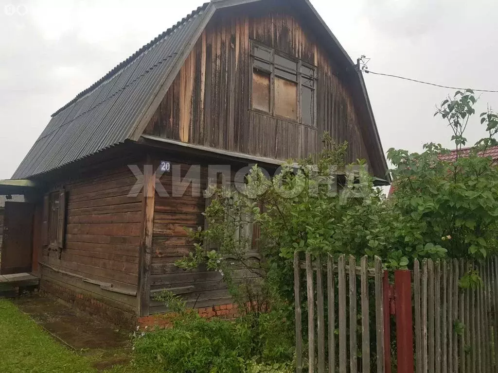 Дом в Новосибирская область, Коченёвский муниципальный район, СНТ ... - Фото 0