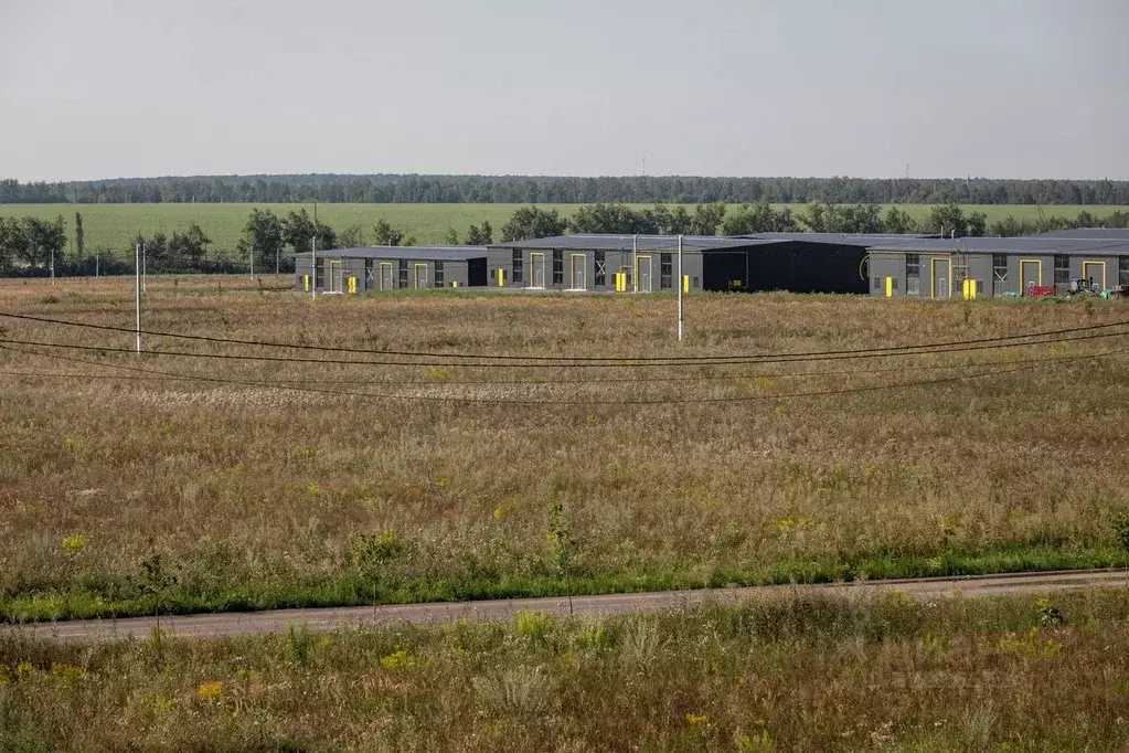 Склад в Воронежская область, Новоусманский район, с. Бабяково ул. ... - Фото 0