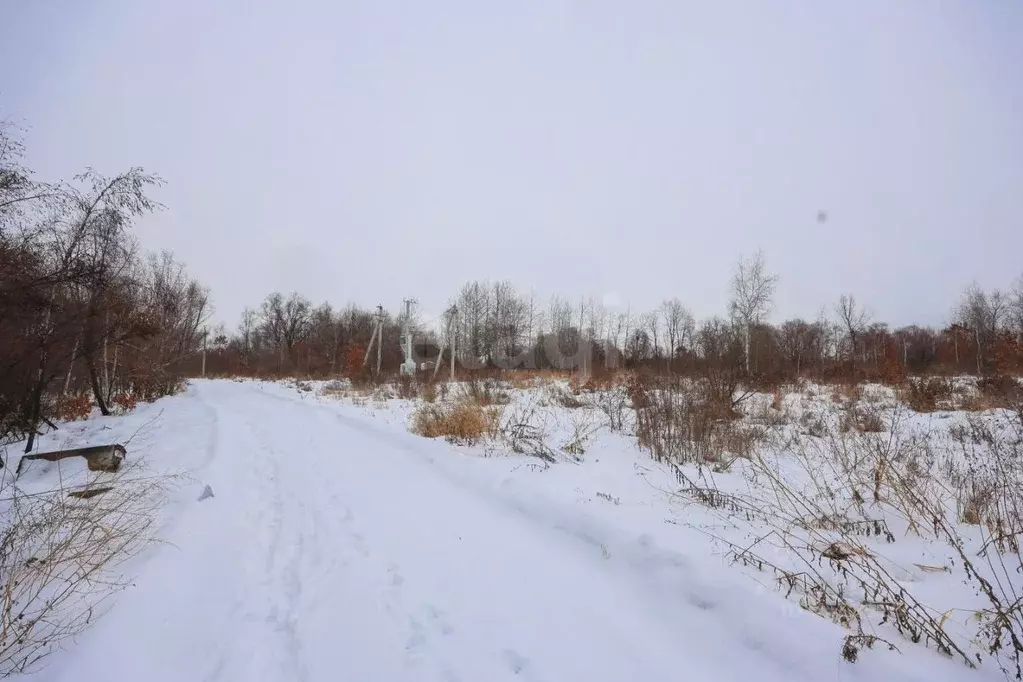 Участок в Еврейская автономная область, Смидовичский район, пос. ... - Фото 2