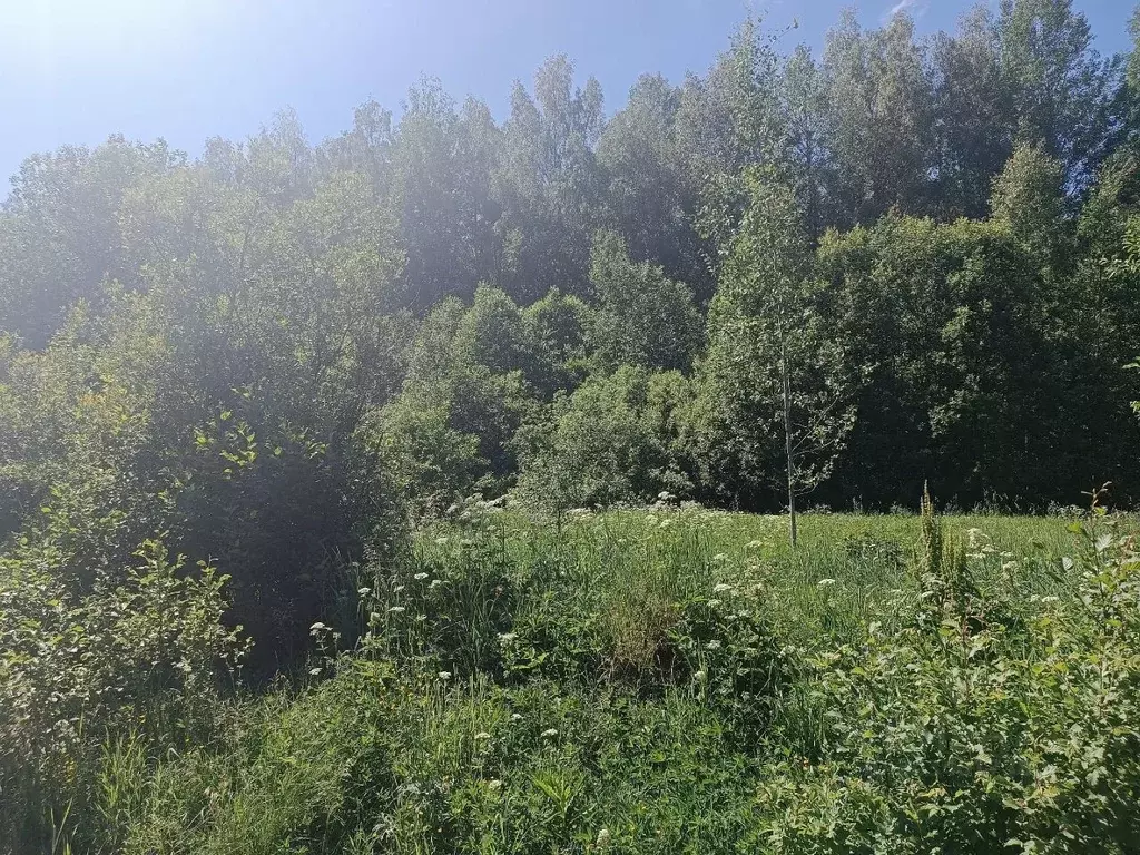 Участок в Новгородская область, Новгородский район, Савинское с/пос, ... - Фото 0