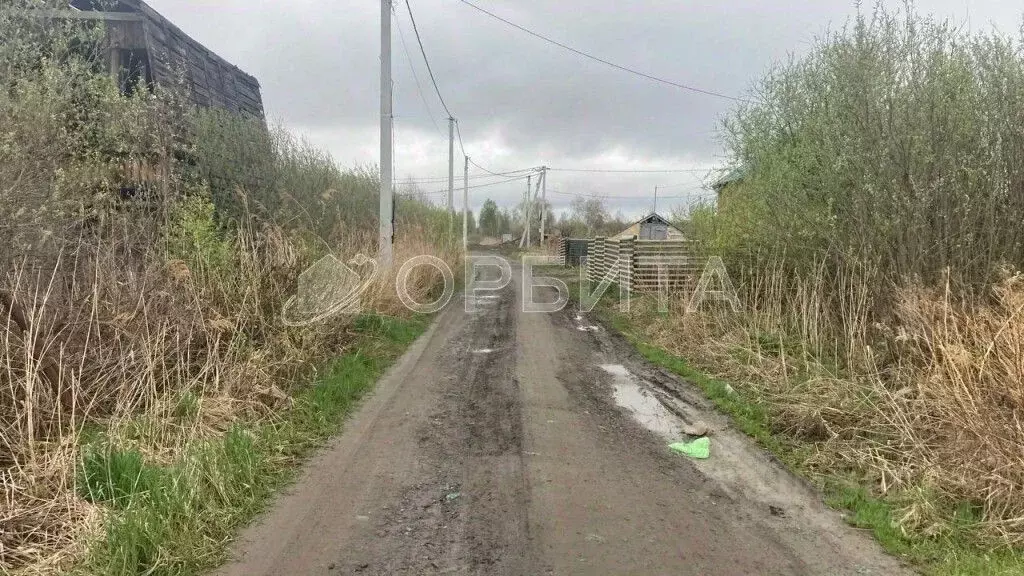 Участок в Тюменская область, Нижнетавдинский район, Здоровье-3 СТ  ... - Фото 0