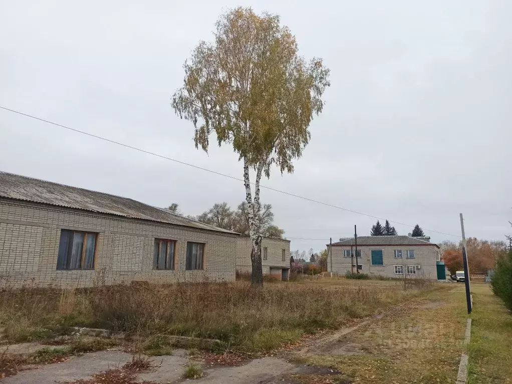 Помещение свободного назначения в Пензенская область, Бессоновский ... - Фото 1