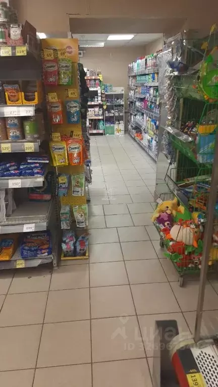 Торговая площадь в Санкт-Петербург просп. Средний Васильевского ... - Фото 1