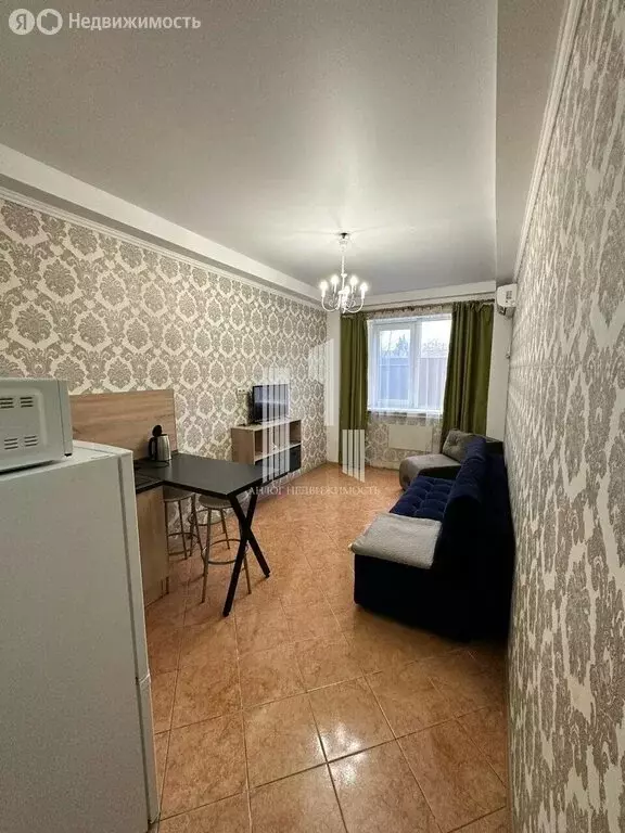 Квартира-студия: село Южная Озереевка, улица Свободы, 69 (22.4 м) - Фото 0