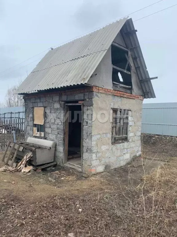 Дом в Новосибирская область, Бердск Светлая ул. (15 м) - Фото 1