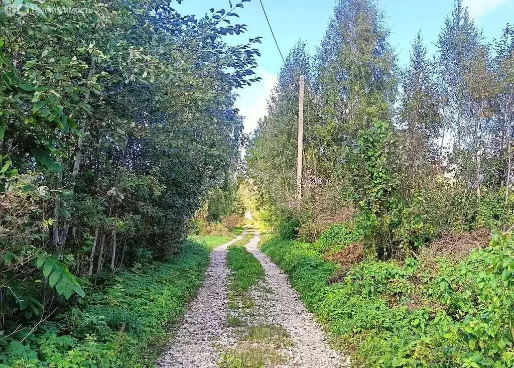 Участок в Псковский муниципальный округ, СНТ Псковитянка (9 м) - Фото 0