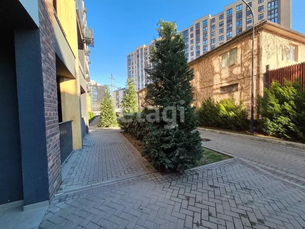 Студия Краснодарский край, Анапа пер. Александрийский, 6 (12.0 м) - Фото 2