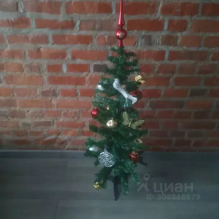 1-к кв. Ярославская область, Ярославль ул. Большая Октябрьская, 59 ... - Фото 2