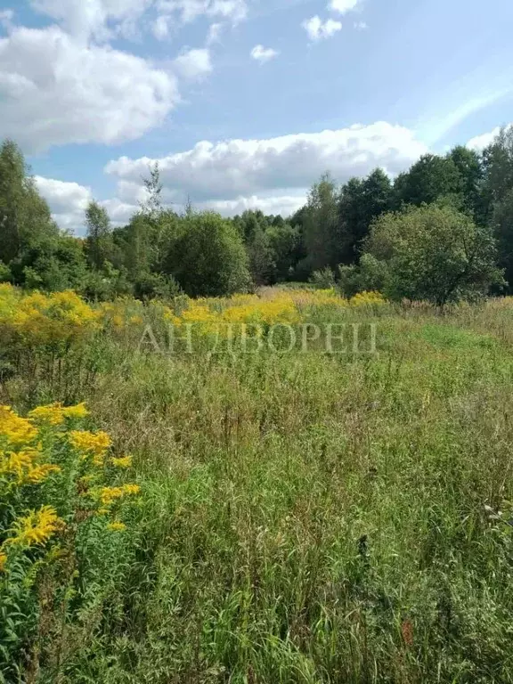 Участок в Нижегородская область, Семеновский городской округ, д. ... - Фото 0