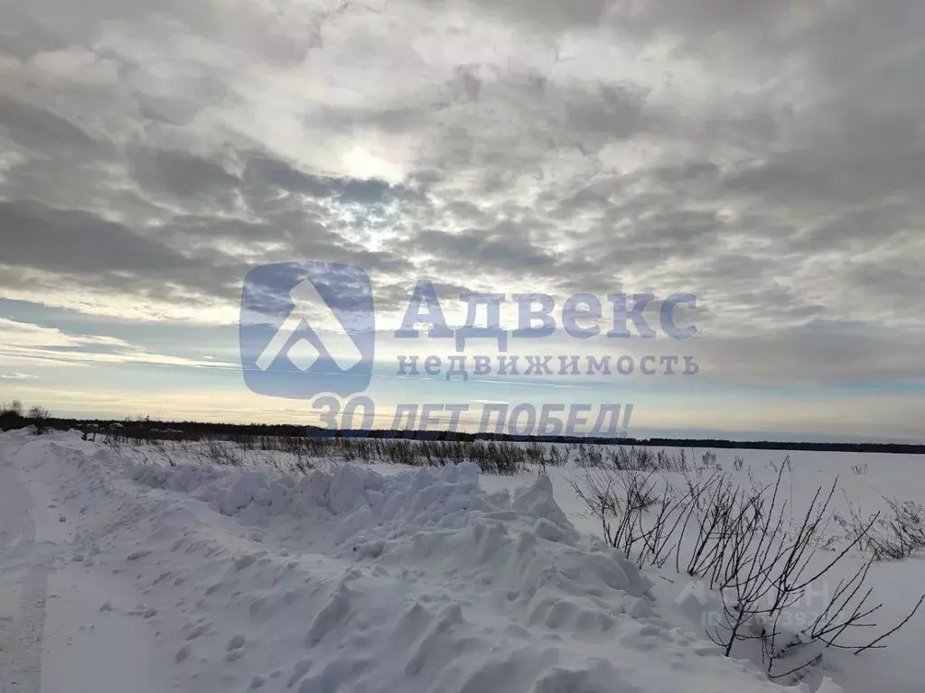 Участок в Тюменская область, Нижнетавдинский муниципальный округ, ... - Фото 2