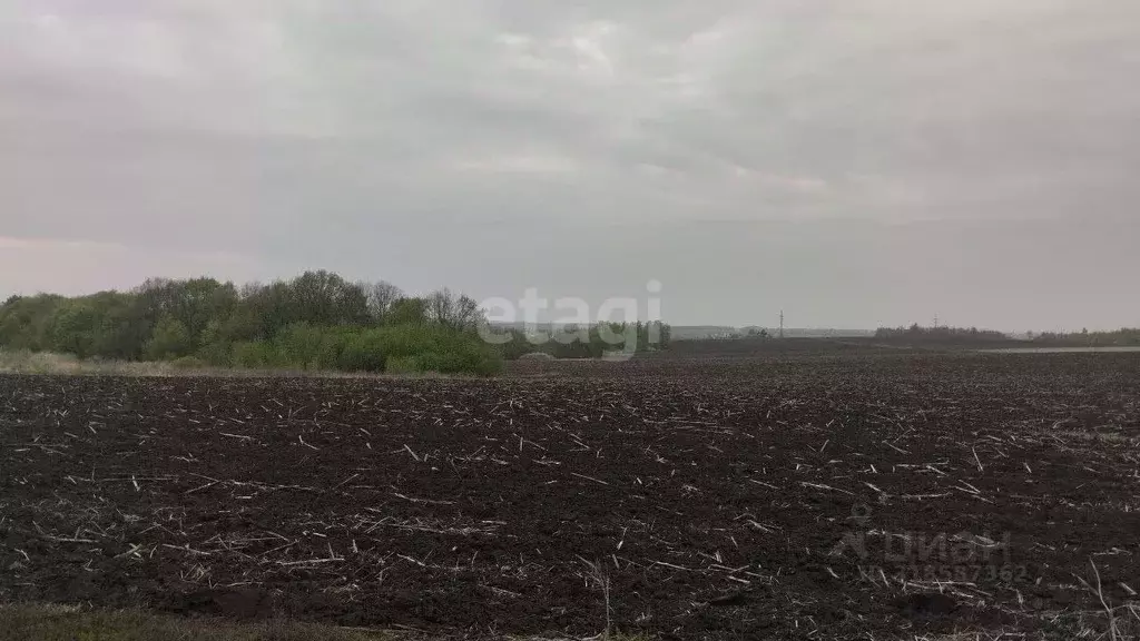 Участок в Белгородская область, Белгородский район, Дубовское с/пос, ... - Фото 1