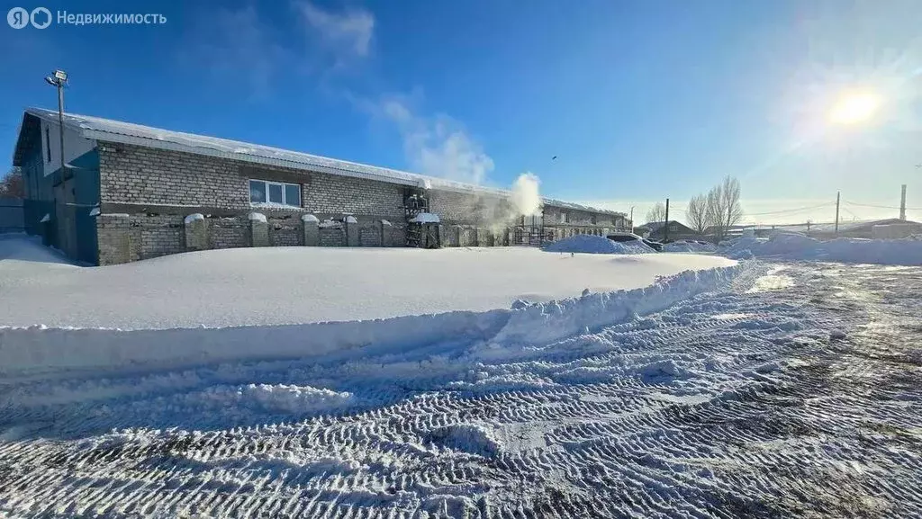 Склад (880 м) - Фото 1