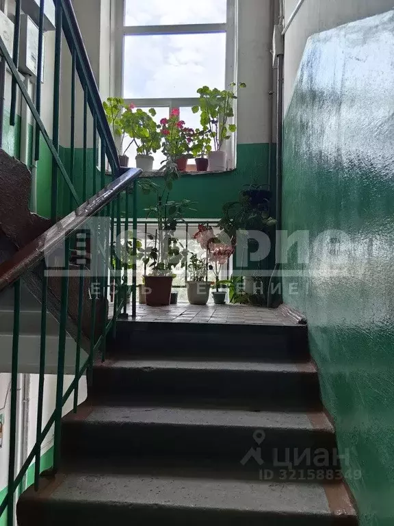 3-к кв. Омская область, Омск ул. 6-я Станционная, 15 (54.8 м) - Фото 2