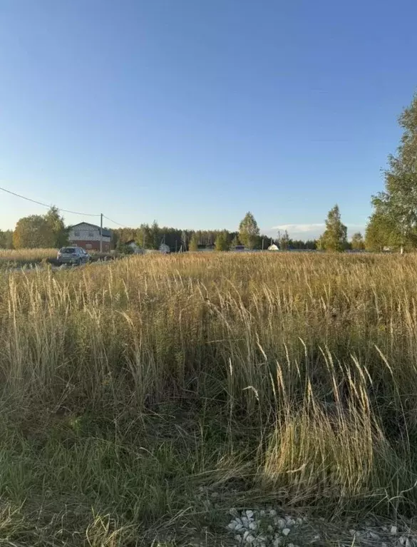 Участок в Тульская область, Тула городской округ, д. Интюшово проезд ... - Фото 2