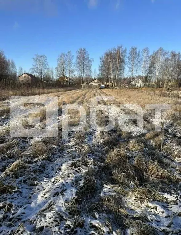 Участок в Костромская область, Костромской район, Середняковское ... - Фото 0