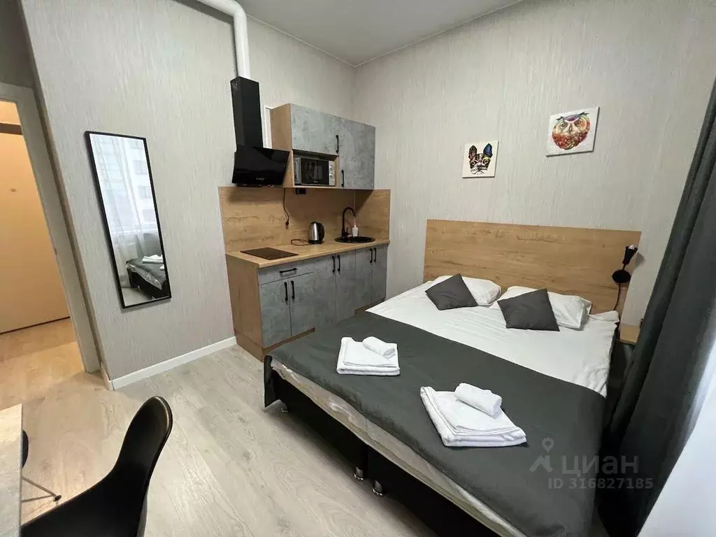 1-к кв. Санкт-Петербург Пулковское ш., 14Е (19.0 м) - Фото 1