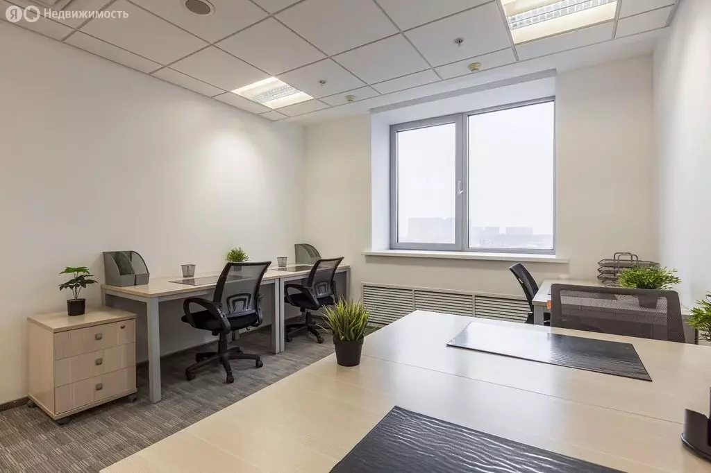 Офис (23 м) - Фото 2