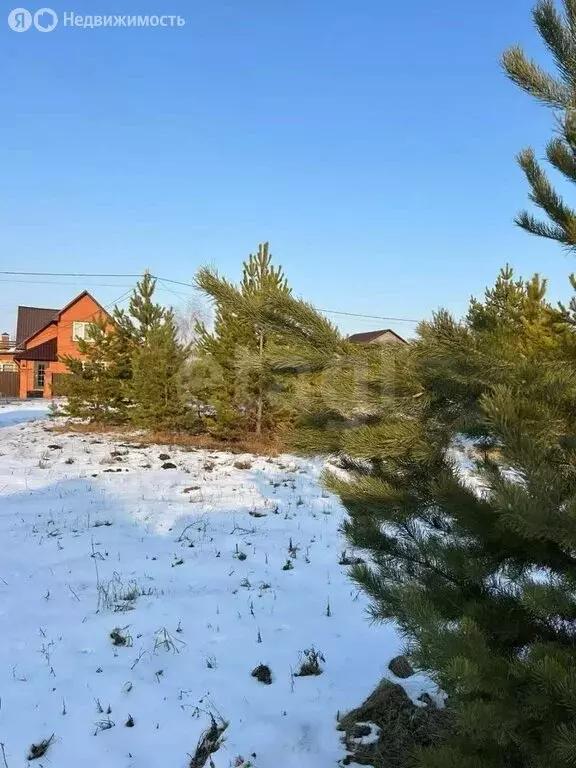 Участок в село Надеждино, ДНП Берёзовый Стан, Центральная улица (11.4 ... - Фото 2