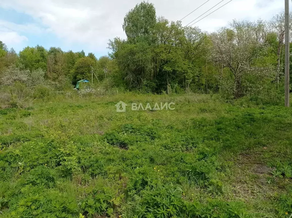 Участок в Пензенская область, Бессоновский район, Элита садоводческое ... - Фото 0