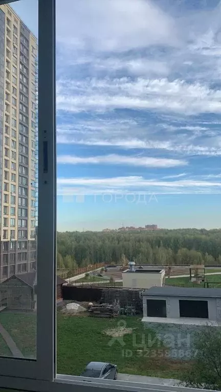 Студия Новосибирская область, Новосибирск Рябиновая ул., 10/1 (24.0 м) - Фото 2