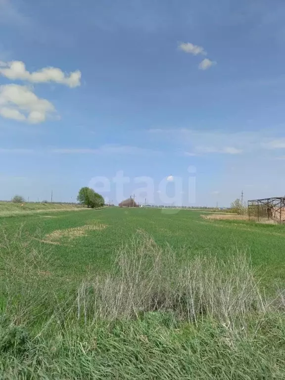 Участок в Ростовская область, Неклиновский район, Поляковское с/пос, ... - Фото 1