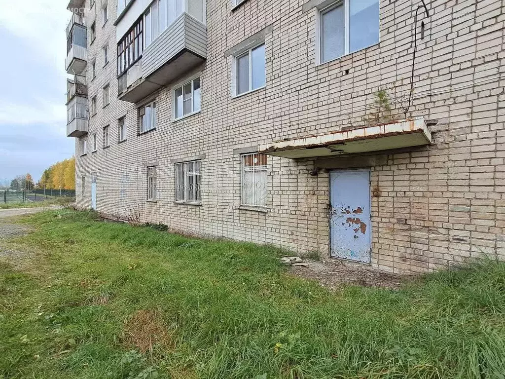 Помещение свободного назначения (272.9 м) - Фото 2