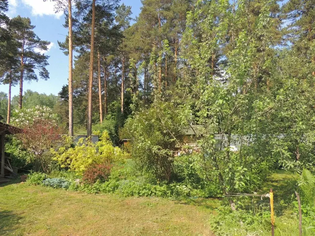 Дом в Свердловская область, Екатеринбург Шувакишский СНТ, 23 (35 м) - Фото 2