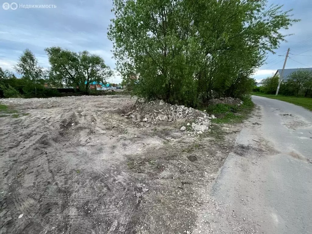 Участок в Засечный сельсовет, село Лебедёвка, Молодёжная улица, 11 ... - Фото 1