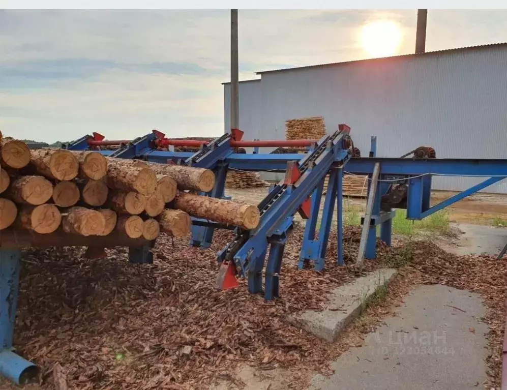 Производственное помещение в Рязанская область, Кораблинский ... - Фото 1