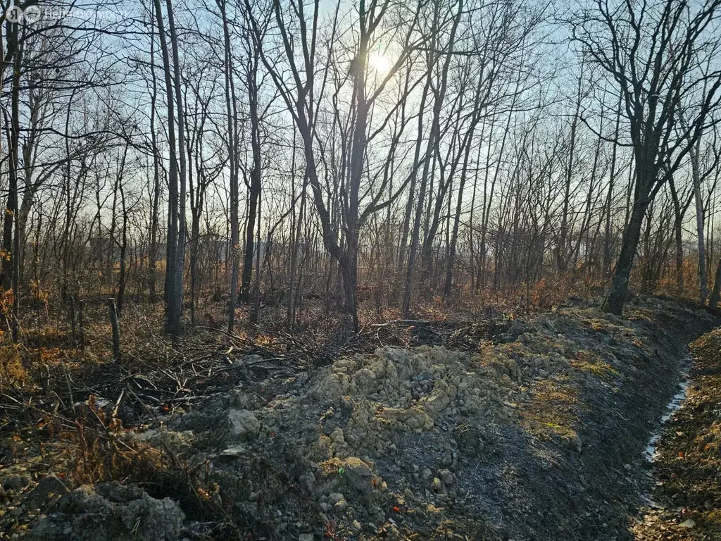 Участок в село Кневичи, улица Марии Цукановой, 11/1 (9 м) - Фото 2