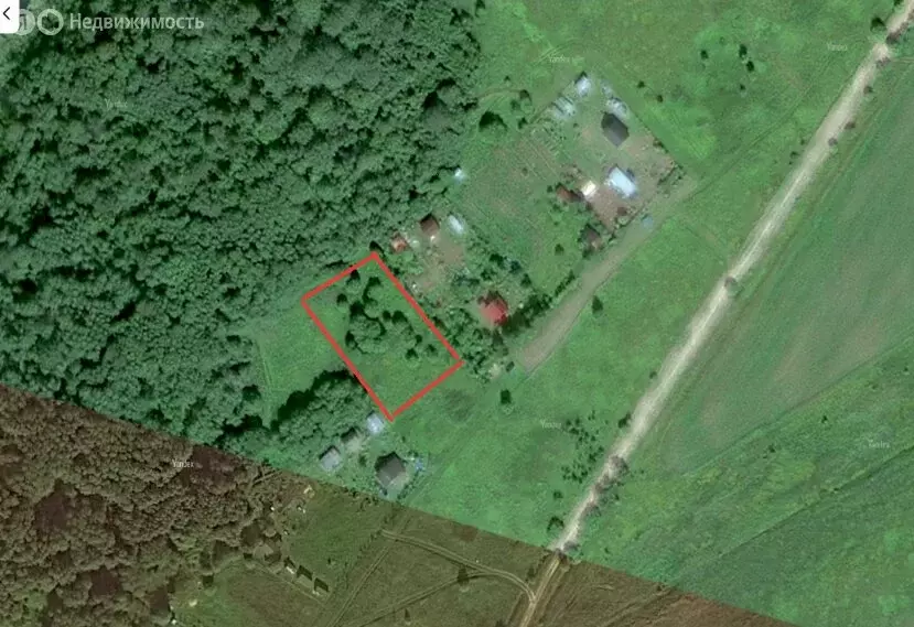 Участок в Волосовский район, Большеврудское сельское поселение, ... - Фото 1