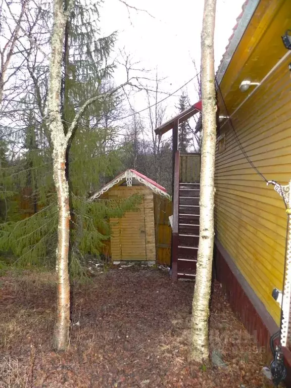 Участок в Мурманская область, Кольский муниципальный округ, Наши Зори ... - Фото 2