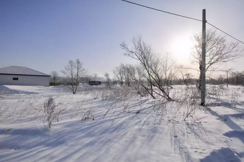 Участок в Сахалинская область, Анивский городской округ, с. ... - Фото 1