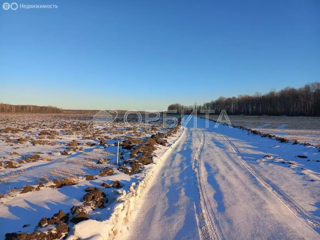 Участок в Тюменский район, село Горьковка (6.5 м) - Фото 1