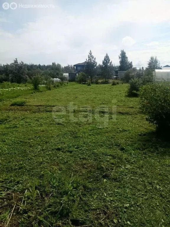 Участок в Ярославский муниципальный округ, садоводческое ... - Фото 0