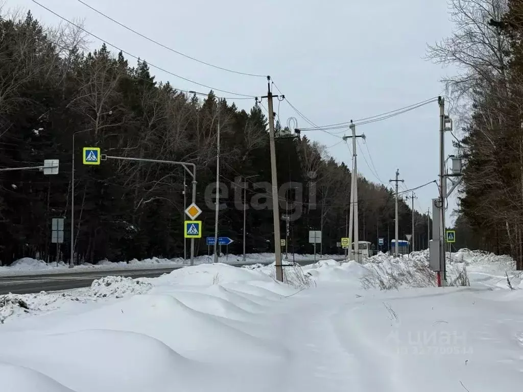 Участок в Курганская область, Кетовский муниципальный округ, Волна СТ  ... - Фото 1