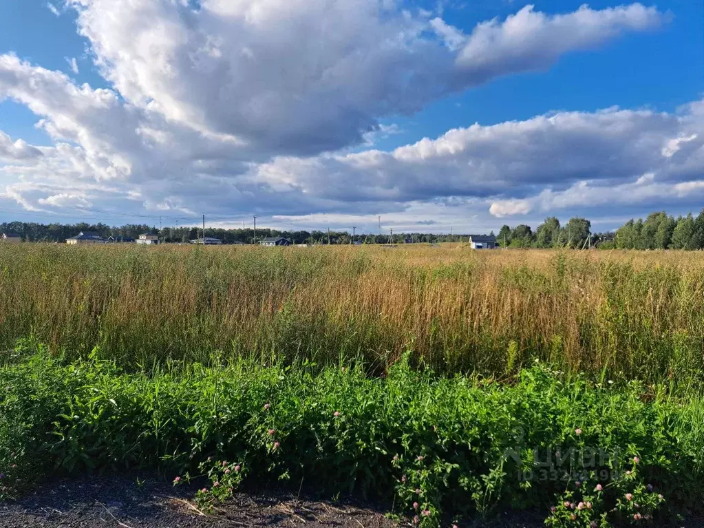 Участок в Московская область, Пушкинский городской округ, с. ... - Фото 2