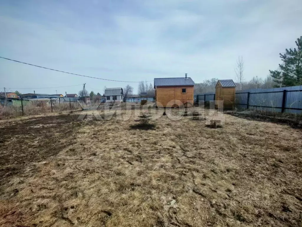 Участок в Новосибирская область, Бердск Вега-4 СНТ,  (5.8 сот.) - Фото 2