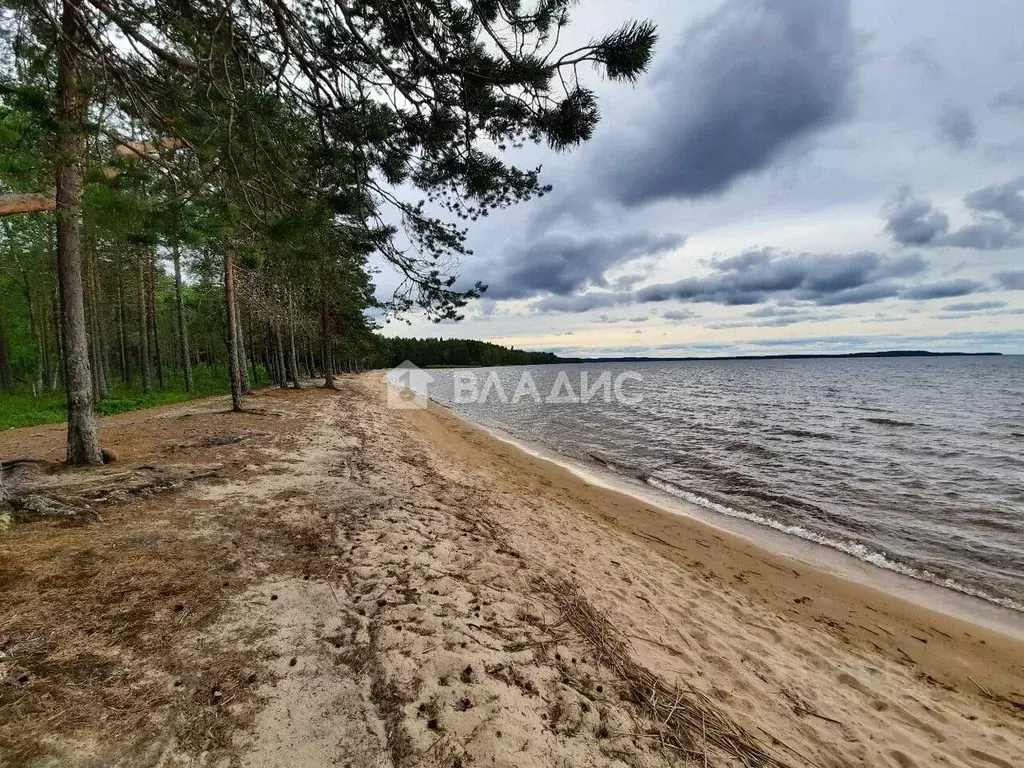 Участок в Карелия, Суоярвский муниципальный округ, Инжунаволок тер.  ... - Фото 1