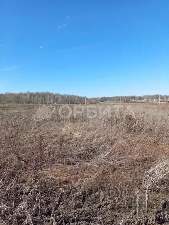 Участок в Тюменская область, Тюменский муниципальный округ, ... - Фото 1