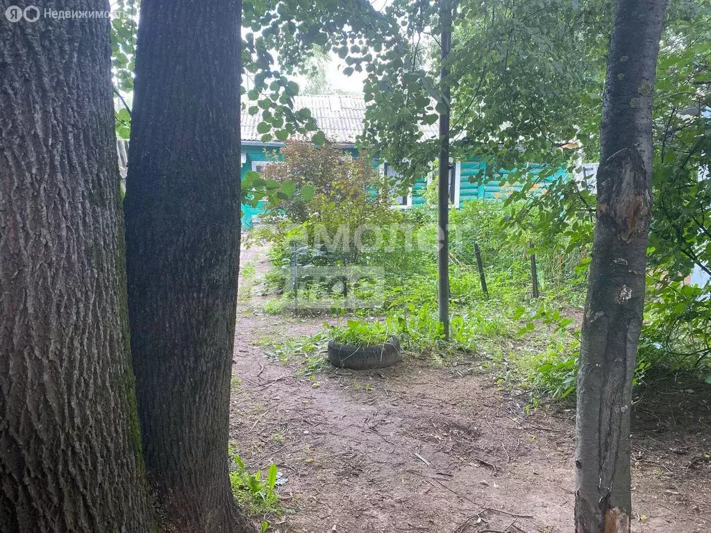 Участок в деревня Вырубово, 32 (6 м) - Фото 0