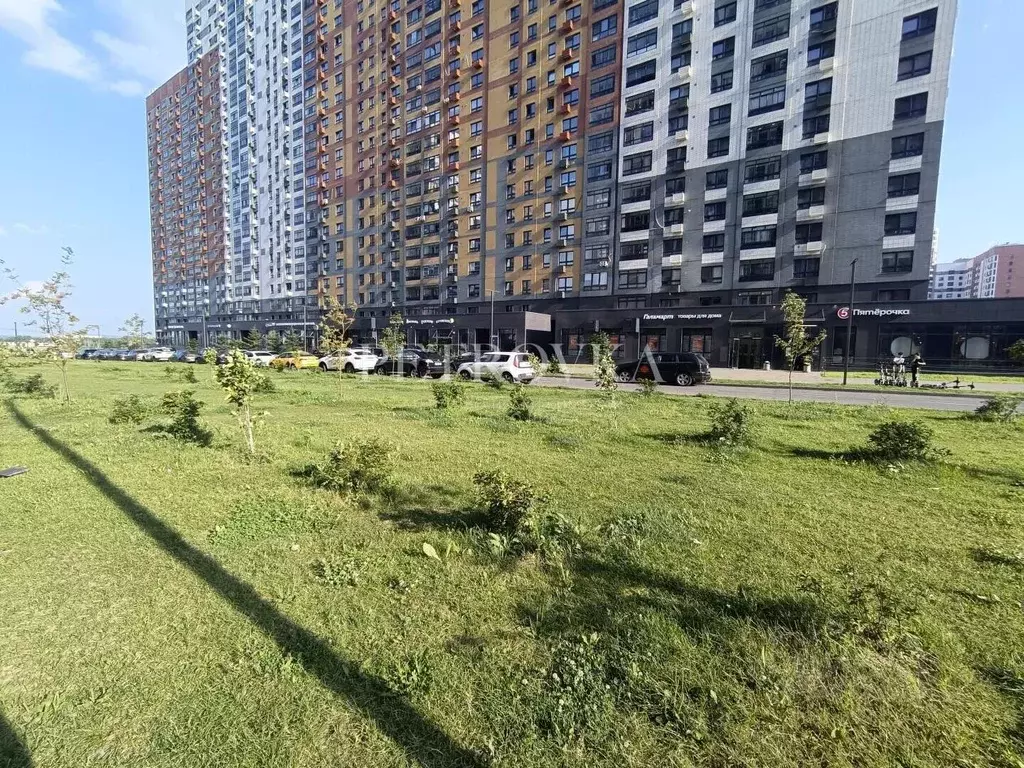 Торговая площадь в Московская область, Ленинский городской округ, пос. ... - Фото 2