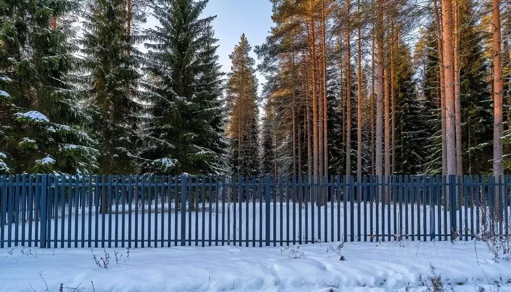 Участок в Московская область, Дмитровский муниципальный округ, с. ... - Фото 1
