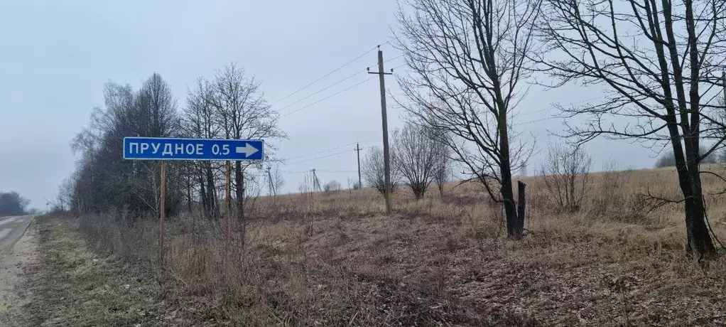 Участок в Тульская область, Тула городской округ, д. Прудное  (1440.0 ... - Фото 1