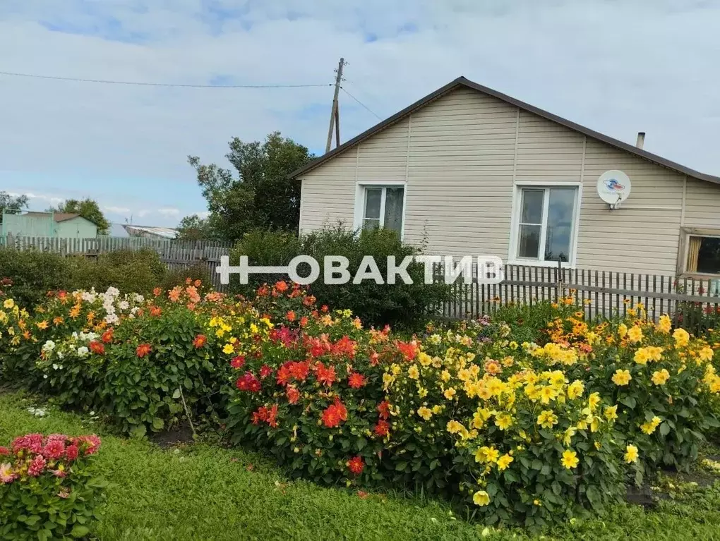 Дом в Новосибирская область, Коченевский район, с. Новомихайловка ул. ... - Фото 0