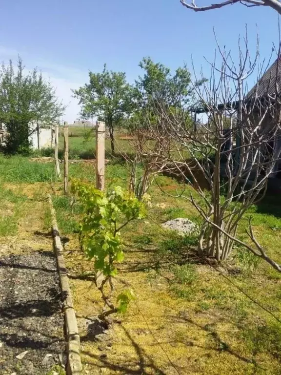 Дом в Крым, Симферопольский район, Николаевское с/пос, с. Тепловка ул. ... - Фото 2